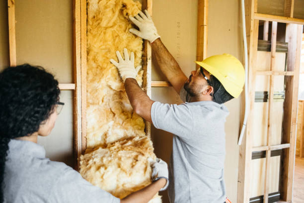Best Spray Foam Insulation  in Mcmillin, WA