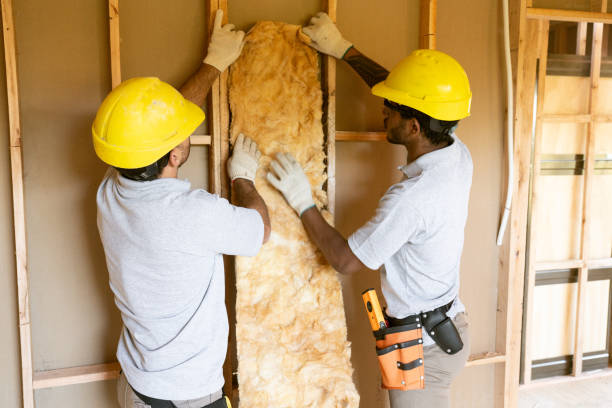 Best Best Insulation Companies  in Mcmillin, WA