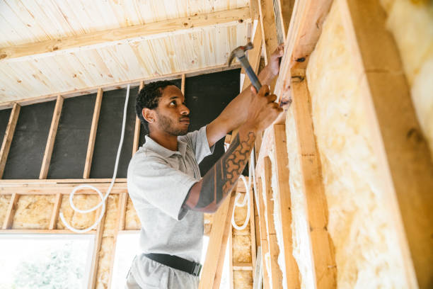 Best Insulation Inspection Services  in Mcmillin, WA