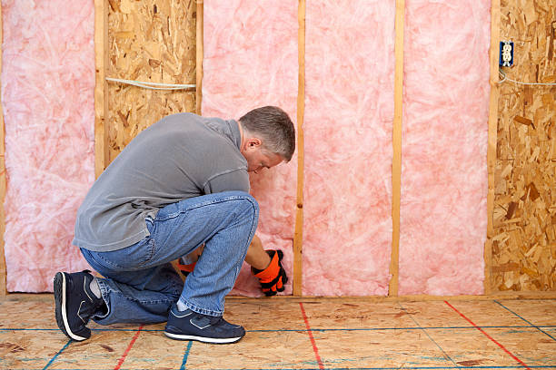 Insulation Inspection Services in Mcmillin, WA